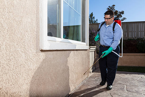 Best Residential Pest Control  in Ridgecrest, CA